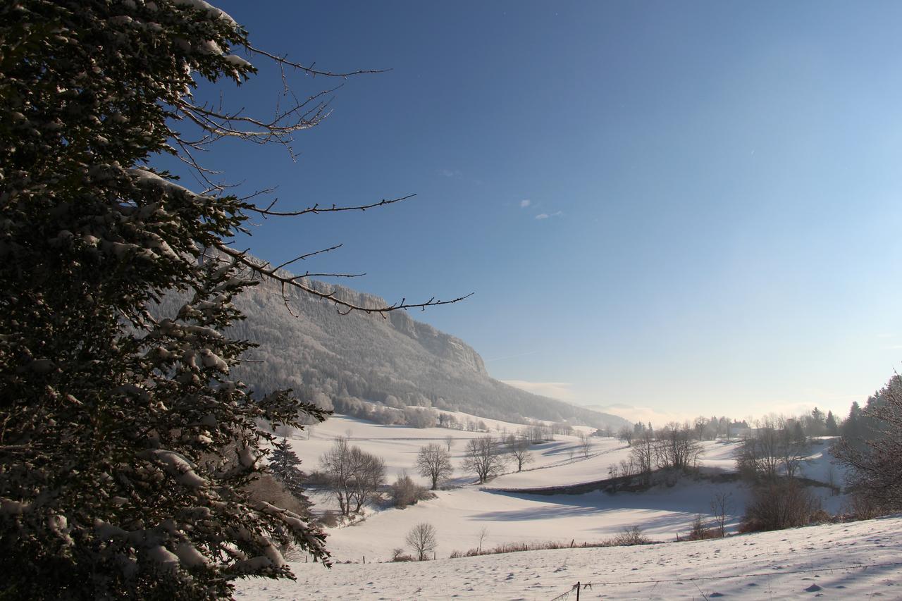 Saint-Julien-en-Vercors Cafe Brochier Hotel المظهر الخارجي الصورة